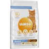 Sucha Karma Dla Kotów Iams for Vitality Dental Ze Świeżym Kurczakiem Zdrowe I Mocne Zęby 10kg