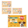 Pedigree Adult Wybór Smaków 16x100g Mokra Karma Dla Dorosłych Psów Kurczak Ryba W Galaretce
