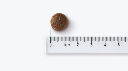 John Dog Good Form Adult Mini Sucha Karma Dla Psa Wieprzowina Z Wołowiną 12kg + Mokra 6x400g