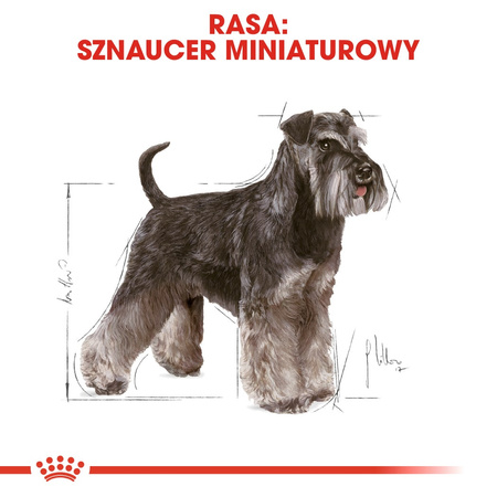 Royal Canin BHN Miniature Schnauzer Adult 3kg Karma Sucha Dla Psów Dorosłych Rasy Sznaucer Miniaturowy