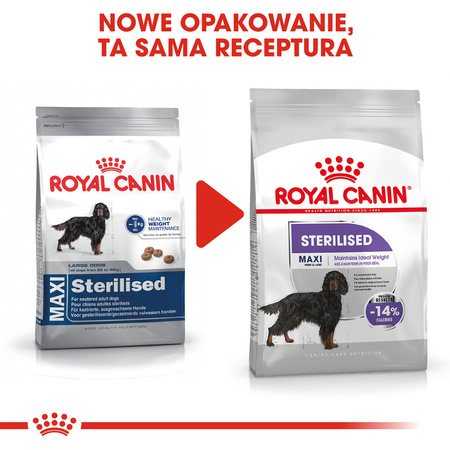 Royal Canin CCN Maxi Sterilised 3kg Karma Sucha Dla Psów Dorosłych Ras Dużych Sterylizowanych