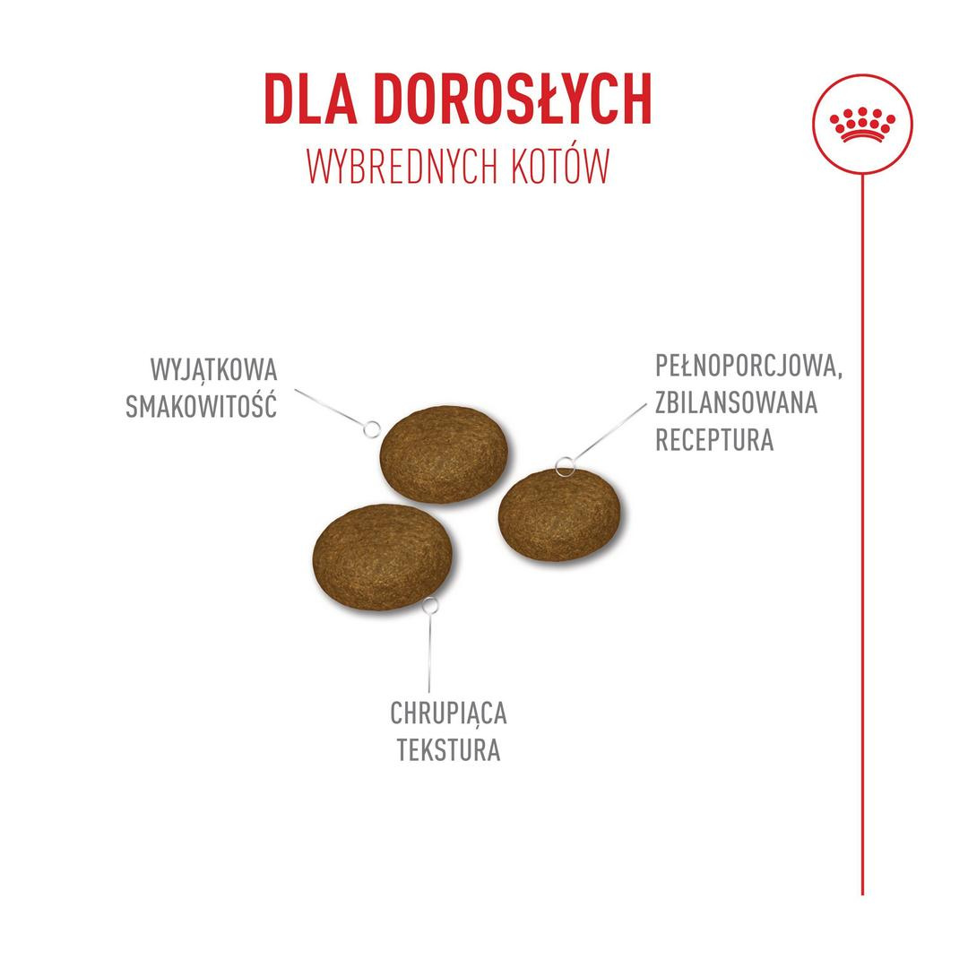 Karma sucha dla kotów dorosłych, wybrednych.