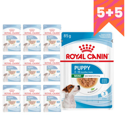 Royal Canin Mini Puppy 10x85g Mokra Karma w Sosie Dla Szczeniąt Do 10 Miesiąca Małych Ras 5+5 GRATIS
