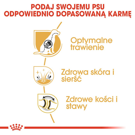 Royal Canin BHN German Shepherd Adult 11kg Karma Sucha Dla Psów Dorosłych Rasy Owczarek Niemiecki