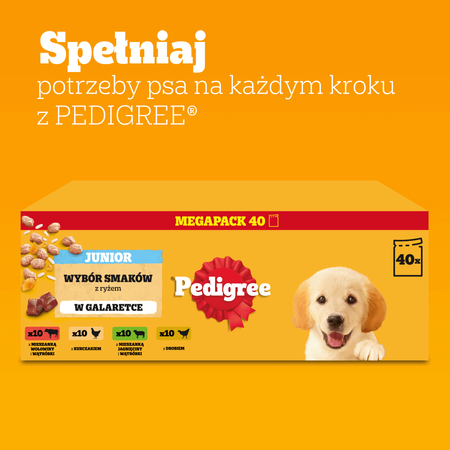 Pedigree Junior Wybór Smaków 120x100g Mokra Karma Dla Szczeniąt Wołowina Kurczak Jagnięcina Ryż W Galaretce
