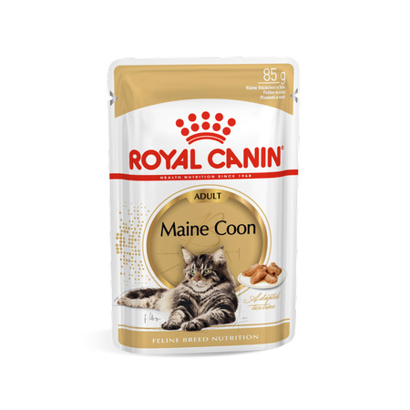 Royal Canin Maine Coon 10kg+12x85g Karma Dla Dorosłego Kota