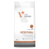 Sucha Karma Weterynaryjna Dla Kota Vet Expert Intestinal Z Drobiem 2kg Zaburzenia Trawienia