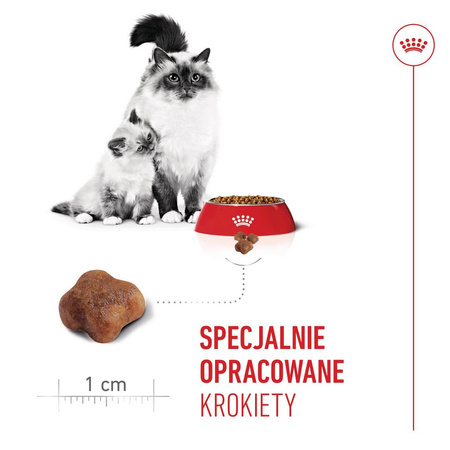 Royal Canin Mother&Babycat 2kg Karma Sucha Dla Kotek W Okresie Ciąży Laktacji i Kociąt Od 1 Do 4 Miesiąca Życia