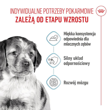 Royal Canin Medium Puppy 10x140g Karma Mokra W Sosie Dla Szczeniąt Ras Średnich Do 12 Miesiąca Życia