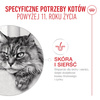 Royal Canin Ageing 11+ Mix Karma Mokra 6x85g Kawałki w Sosie i Galaretce Dla Kotów Dojrzałych Po 11 Roku Życia