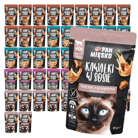 Pan Mięsko Mokra Karma Dla Kota 48x85g Kawałki W Sosie Mix Smaków