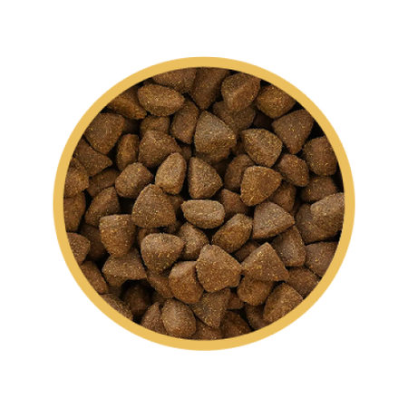 Biofeed Euphoria Fresh Turkey 2kg Sucha Monoproteinowa Karma Dla Dorosłych Psów Miniaturowych I Małych Ras Ze Świeżym Indykiem