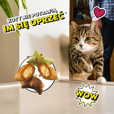 Dreamies Shake Ups Multivitamins 12x55g Przysmak Dla Kota Mix Smaków Kurczak Owoce Morza