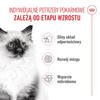 Royal Canin FHN Kitten 4kg Karma Sucha Dla Kociąt Od 4 Do 12 Miesiąca Życia