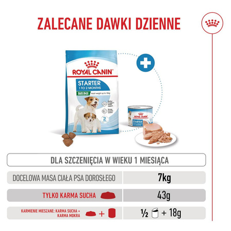Royal Canin Mini Starter Mother & Babydog 4kg Karma Sucha Dla Suk W Ciąży I Okresie Laktacji Oraz Szczeniąt Ras Małych