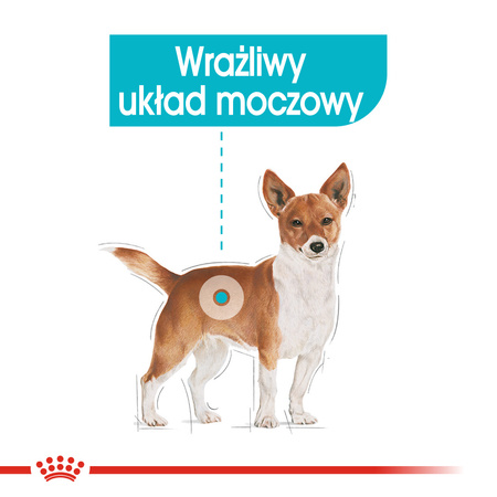 ROYAL CANIN Urinary Care Karma Mokra Dla Psów Ochrona Dolnych Dróg Moczowych Pasztet 85g