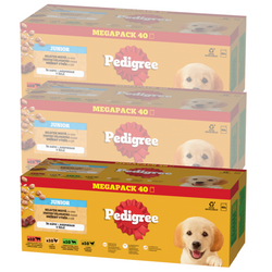 Pedigree Junior Wybór Smaków 120x100g Mokra Karma Dla Szczeniąt Wołowina Kurczak Jagnięcina Ryż W Galaretce