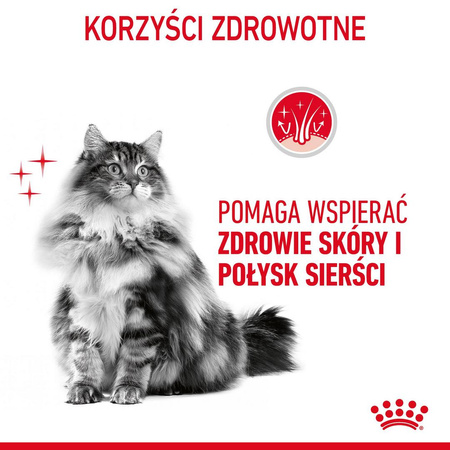 Royal Canin Hair&Skin Care 2kg Karma Sucha Dla Kotów Dorosłych Lśniąca Sierść i Zdrowa Skóra