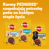 Pedigree Professional Nutrition Adult Maxi 12kg Sucha Karma Dla Psów Ras Dużych Z Drobiem I Warzywami
