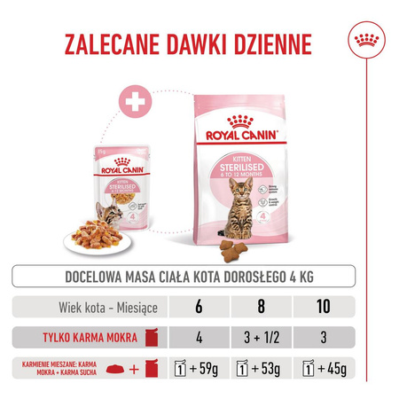 Royal Canin FHN Kitten Sterilised W Galaretce 85g Karma Mokra Dla Kociąt Sterylizowanych Do 12 Miesiąca Życia