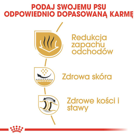 Royal Canin BHN Bulldog Adult 12kg Karma Sucha Dla Psów Dorosłych Rasy Bulldog Angielski