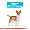 Royal Canin CCN Urinary Care 12x85g Karma Mokra Pasztet Dla Psów Ochrona Dolnych Dróg Moczowych