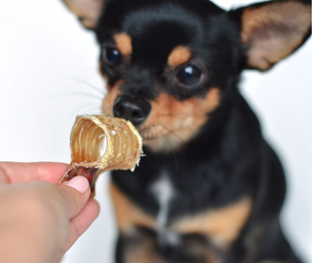 MACED TCHAWICA KRĄŻKI 1KG  WOŁOWA SUSZONA CIĘTA