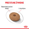 Royal Canin Mini Light Weight Care 1kg Karma Sucha Dla Psów Małych Ras Z Tendencją Do Nadwagi