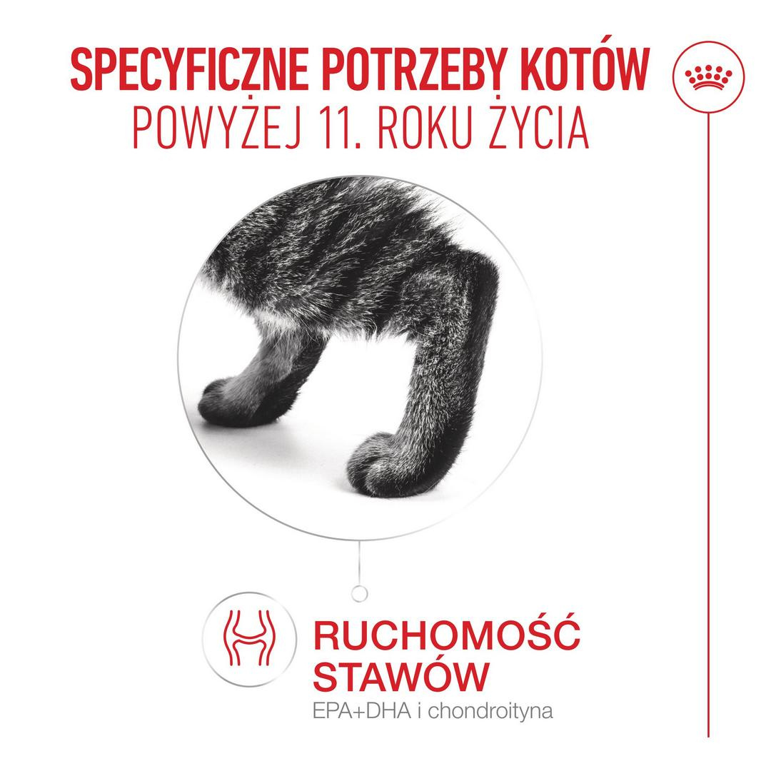 ROYAL CANIN Ageing 11+ karma dla kotów po 11 roku życia