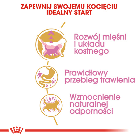 Royal Canin FBN British Shorthair Kitten 2kg Karma Sucha Dla Kociąt Do 12 Miesiąca Rasy Brytyjski Krótkowłosy