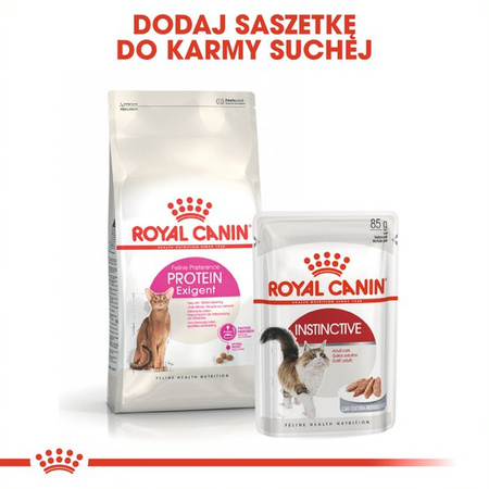 Royal Canin Exigent Protein Preference 2kg Karma Sucha Dla Kotów Dorosłych Wybrednych Kierujących Się Zawartością Białka