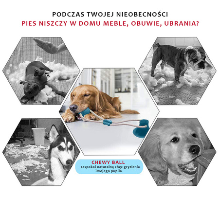 Zabawka gryzak dla psa CHEWY BALL, piłka na przyssawce kolor TURKUSOWY