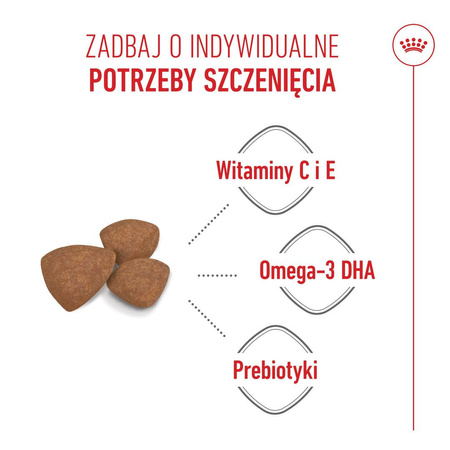Royal Canin Mini Puppy 4kg Karma Sucha Dla Szczeniąt Od 2 Do 10 Miesiąca Życia, Ras Małych