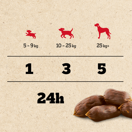 Pedigree Ranchos Sausages 60g Naturalny Przysmak dla Psa Z Wieprzowiną I Soczystymi Jabłkami