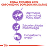 Royal Canin FHN Sterilised W Sosie i Galaretce 24x85g Mokra Karma Dla Kotów Sterylizowanych