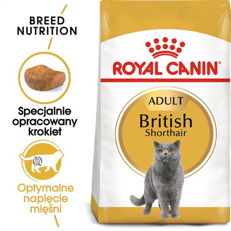 ROYAL CANIN British Shorthair 2x10kg karma sucha dla kotów dorosłych rasy brytyjski krótkowłosy