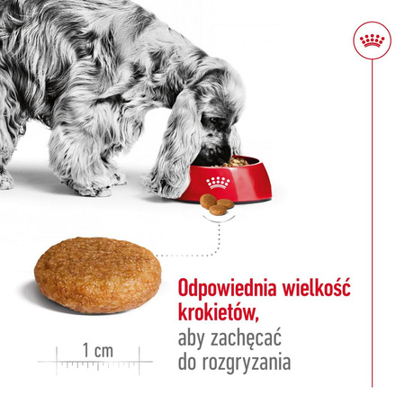Royal Canin Adult Medium BF 4kg Zbilansowana Sucha Karma Dla Psów Średnich Ras