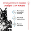Royal Canin Maxi Starter Mother & Babydog 4kg Karma Sucha Dla Suk W Ciąży I Okresie Laktacji Oraz Szczeniąt Ras Dużych
