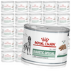 Royal Canin Veterinary VHN Dog Diabetic Low Carbohydrate S/O Loaf 24x195g Mokra Karma Pasztet Dla Psów Kontrola Cukru