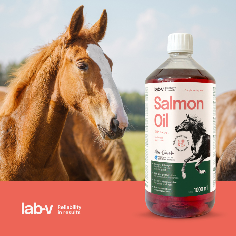Lab-v Salmon Oil to naturalny suplement diety dla koni, oparty na 100% oleju z łososia atlantyckiego, tłoczonym na zimno i wolnym od dodatków.