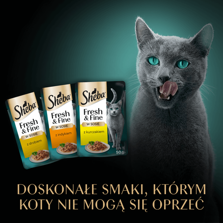 Sheba Fresh&Fine Megapack Saszetki 100x50g Mokra Karma Dla Kotów W Sosie Kurczak Drób Indyk