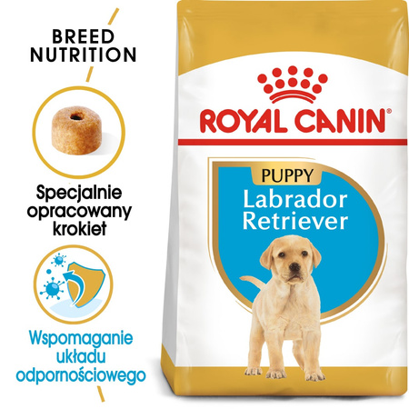 Royal Canin BHN Labrador Retriever Puppy 12kg Karma Sucha Dla Szczeniąt Do 15 Miesiąca Rasy Labrador Retriever