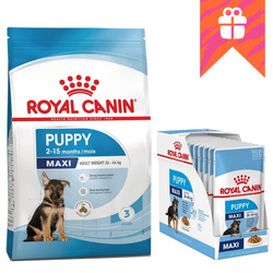 Royal Canin Maxi Puppy 15kg Karma Sucha + GRATIS 10x140g Mokra Karma w Sosie Dla Szczeniąt Od 2 Do 15 Miesiąca Życia Ras Dużych