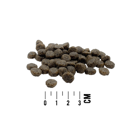 MAC's Dog Mini Sucha Karma Monoproteinowa Z Jagnięciną 7kg Dla Psów Małych Ras Skłonnych Do Alergii