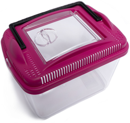 COMFY AMBER MAXI - Wygodny Transporter dla Gryzoni, Pająków, Owadów