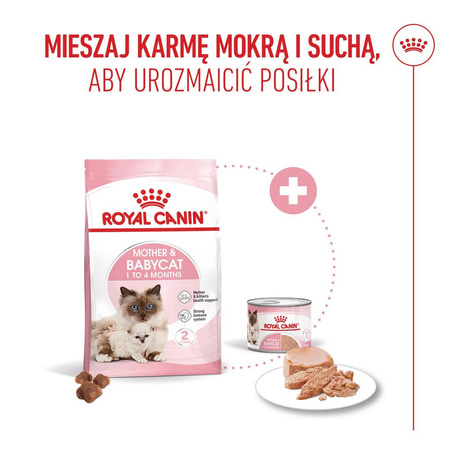 Royal Canin Mother&Babycat 2kg Karma Sucha Dla Kotek W Okresie Ciąży Laktacji i Kociąt Od 1 Do 4 Miesiąca Życia