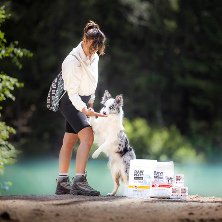 Vet Expert Raw Paleo Adult Monoprotein 6x800g Mokra Karma Dla Psa z Indykiem