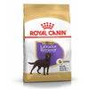 Royal Canin BHN Labrador Retriever Sterilised Adult 12kg Karma Sucha Dla Psów Dorosłych Rasy Labrador Retriever Sterylizowanych