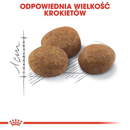 Royal Canin Sterilised +7 Karma Sucha Dla Kotów Dorosłych Sterylizowanych 10kg Od 7 Do 12 Roku Życia