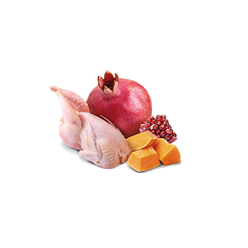 Farmina N&D Mokra Karma dla Psa